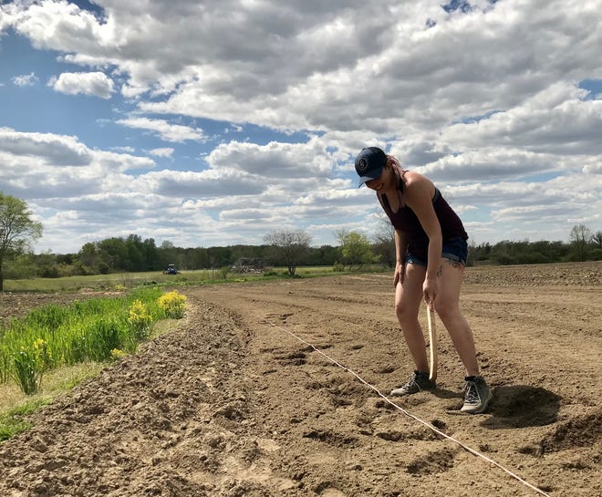 Seed & Soul Society founding member Heather Fagan makes holes to plant onions on a farm plot in Goodells County Park on May 14, 2021.