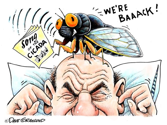 Dave Granlund cartoon on the return of cicadas