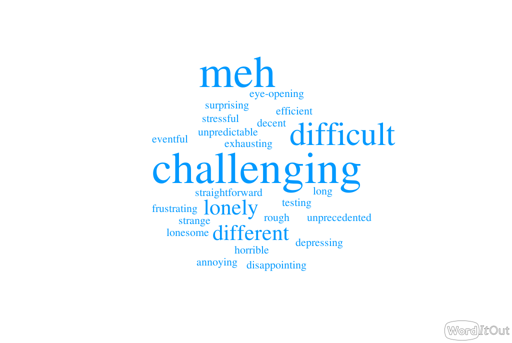 Some of the words the students used to describe the 2020-21 school year amid the coronavirus pandemic.