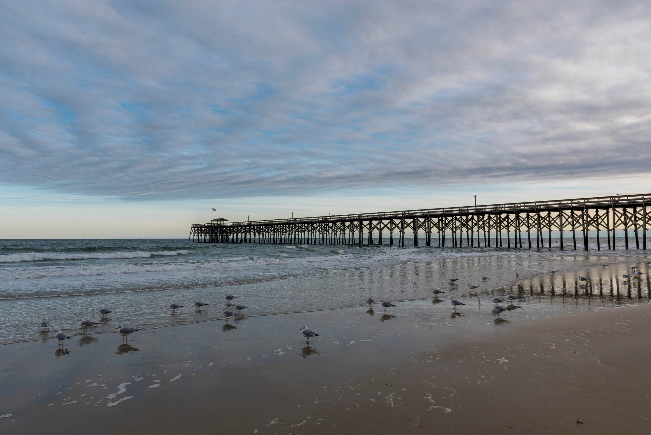 Where to find seashells by the seashore: Great beaches in California, Texas, Florida, more Where to find seashells by the seashore: Great beaches in California, Texas, Florida, more