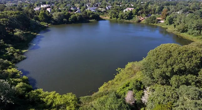 Uncle Harvey’s Pond is about to be treated with alum to contain phosphorus, but it’s possible that the East Orleans sewer could be extended to that neighborhood.