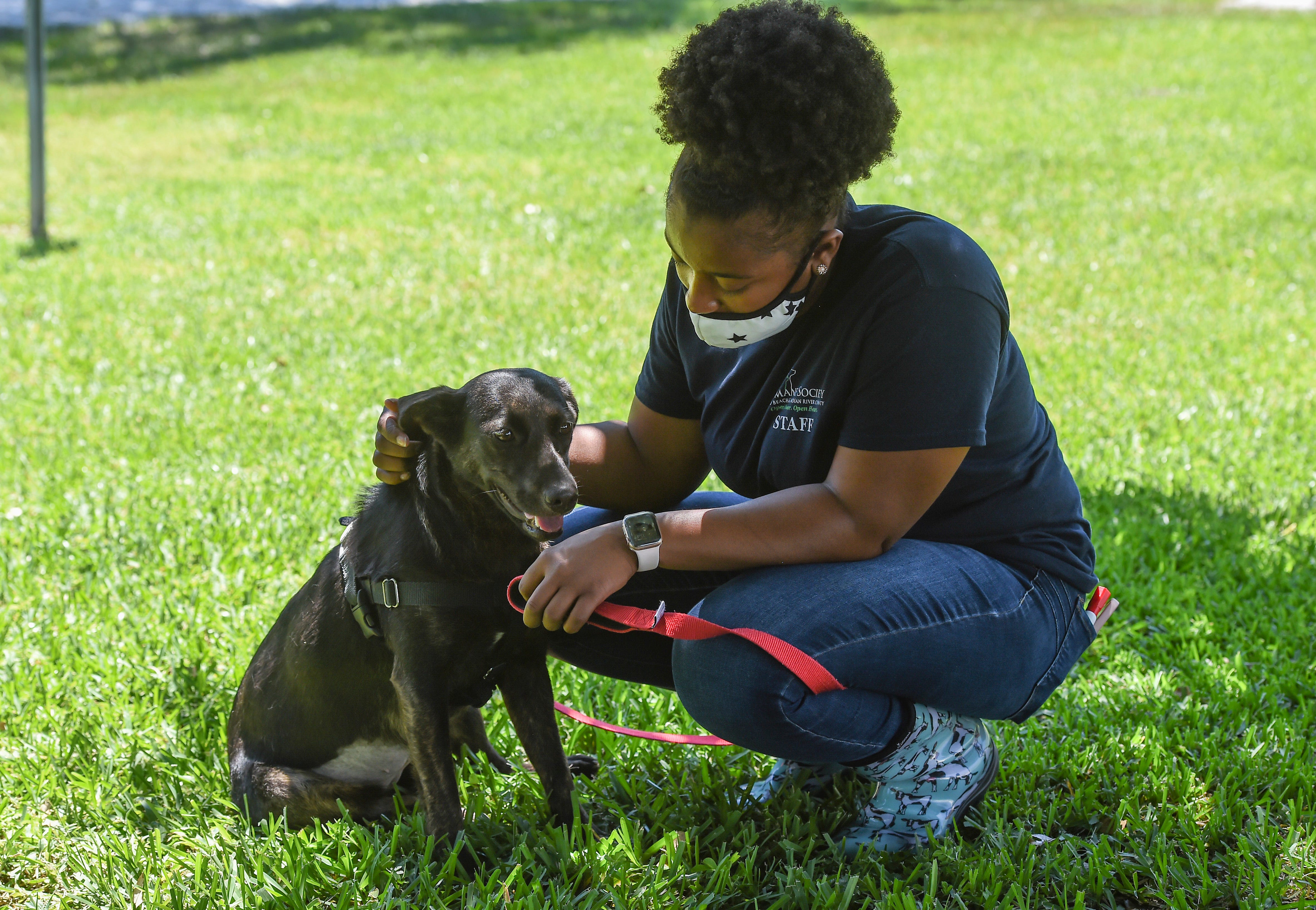 Humane societies don't see increase in pet surrenders COVID19