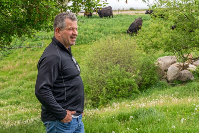 Doug Ney, beef farmer and owner of Ney’s Premium Meats, looks over his angus cows on pasture in Hartford.