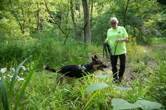Marsha Smith works with her dog, Zeena, during a training exercise. Both are part of the Ross County Search and Rescue team.