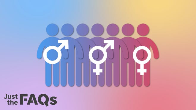 French Dictionary Adds Gender Neutral Pronoun Causes Controversy French Dictionary Adds Gender Neutral Pronoun Causes Controversy