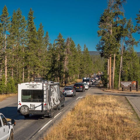 Vehicles line up to enter Yellowstone National Par
