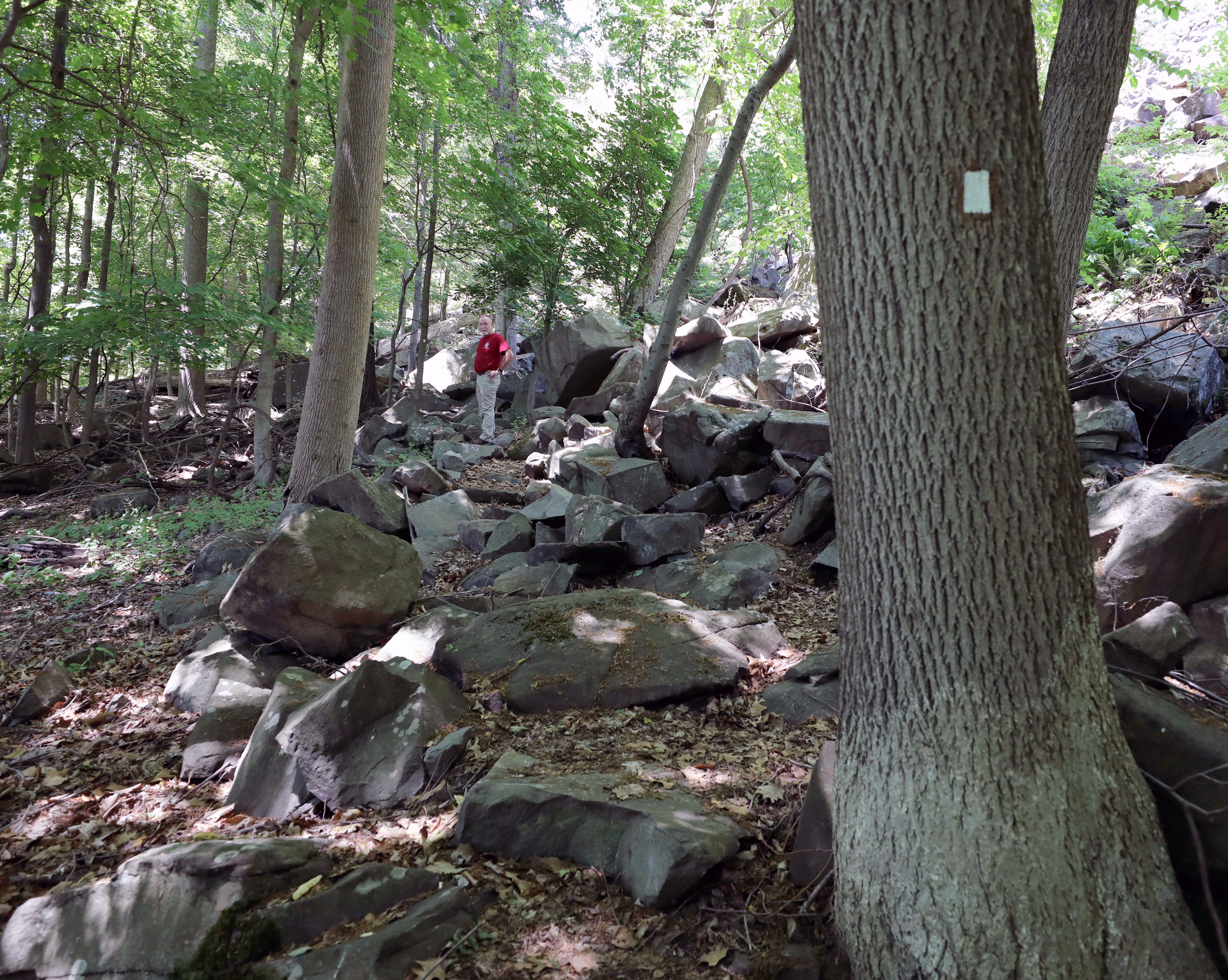 Upper Nyack Trail, Rockland hiking path, connects routes