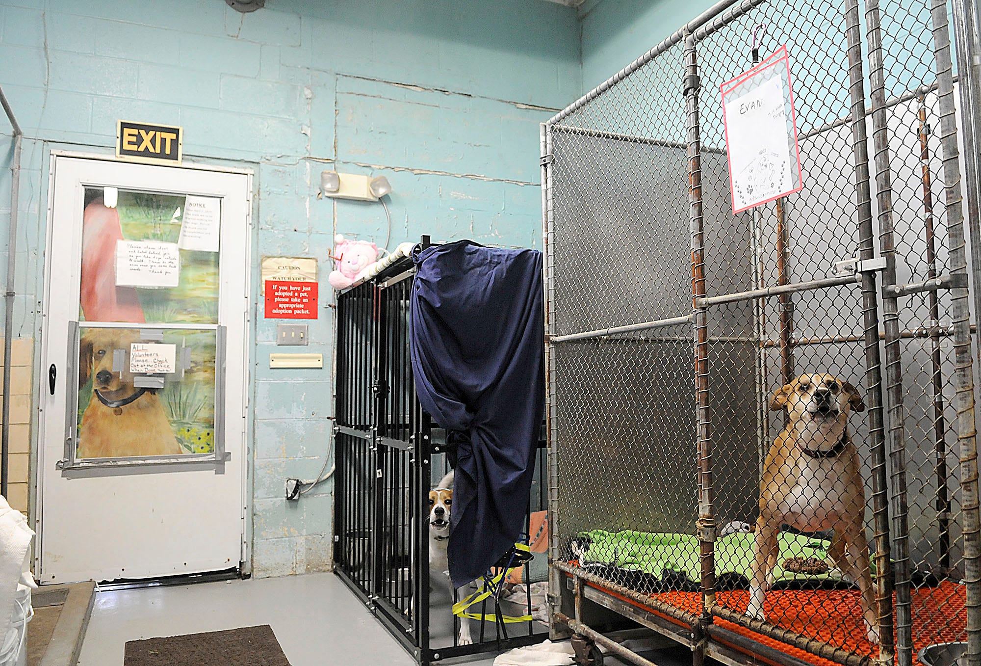 New Ashland County dog shelter plans are in discussion