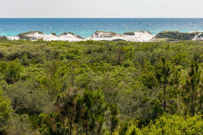 Miles of hiking and biking trails are neatly nestled within Topsail Hill Preserve State Park in Dune Allen, where you'll find vast stretches of sugar-white and natural beauty.