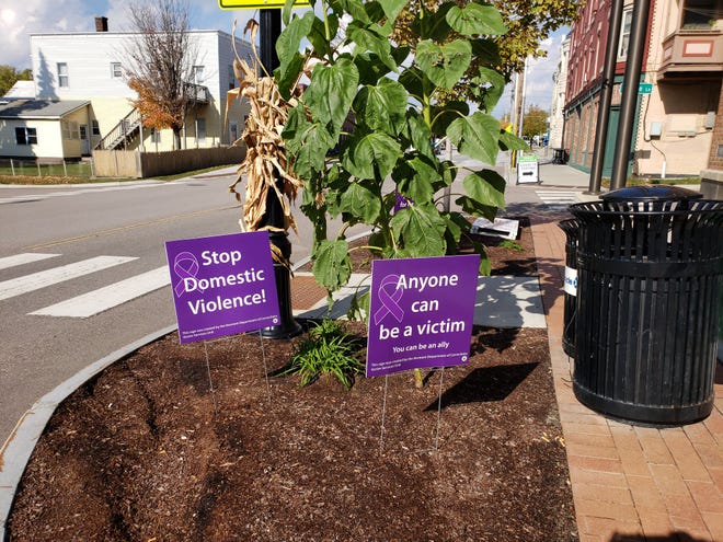 Signs created by a Vermont state victim services program regarding domestic violence.