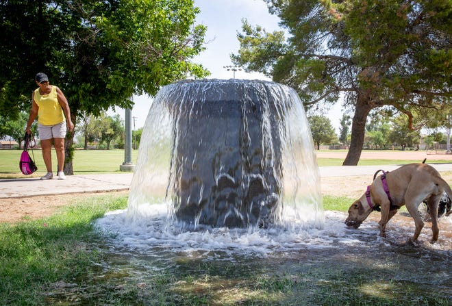 Suzette Hicks (left) watches as her dog, Katie, gets a drink from at Hermoso Park, 2030 E. Southern Ave., Phoenix.
