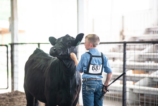 Jackson County Junior Fair Comes Back After Covid Canceled It Last Year Jackson County Jr Fair 2022