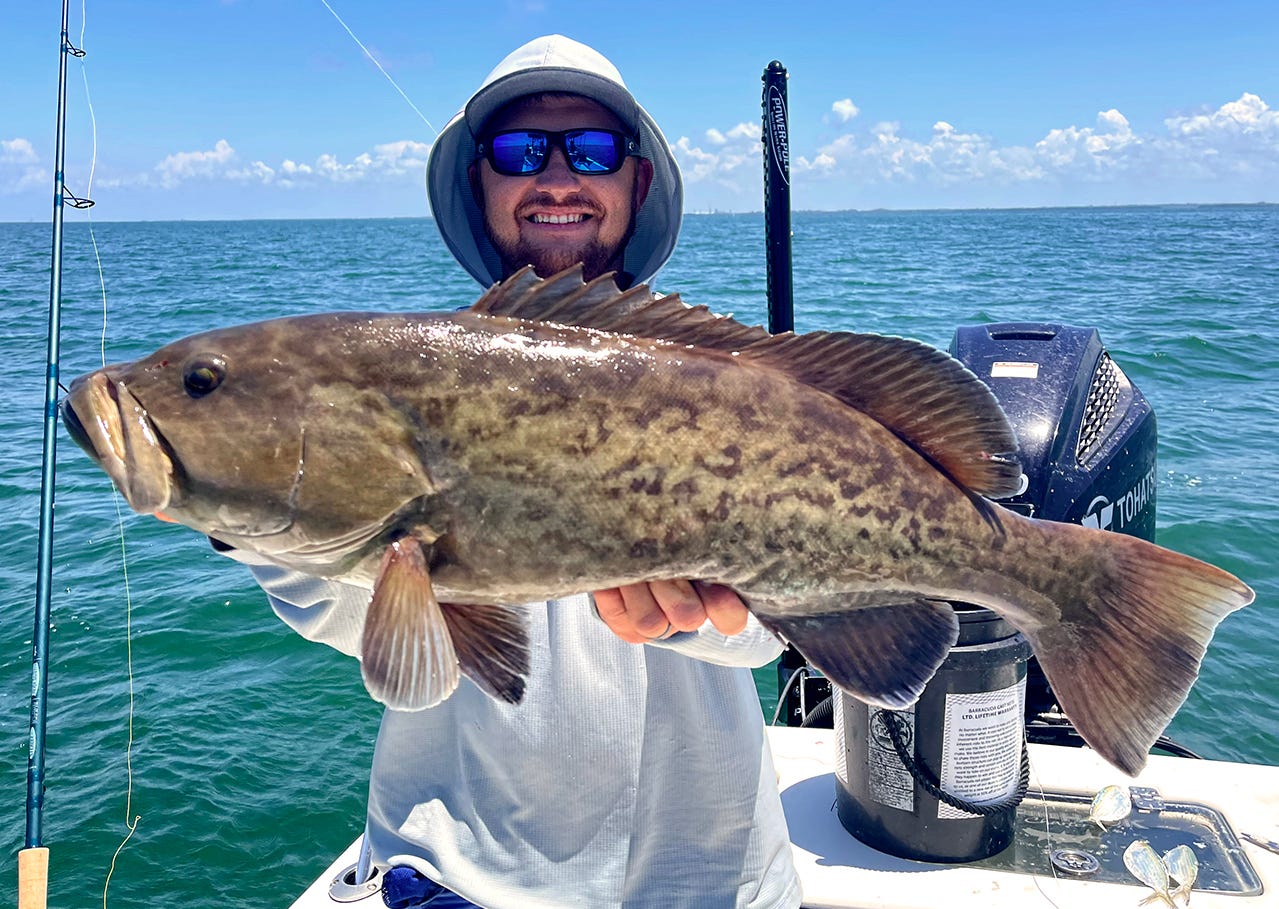 Gag Grouper Biting As Season Opened On June 1