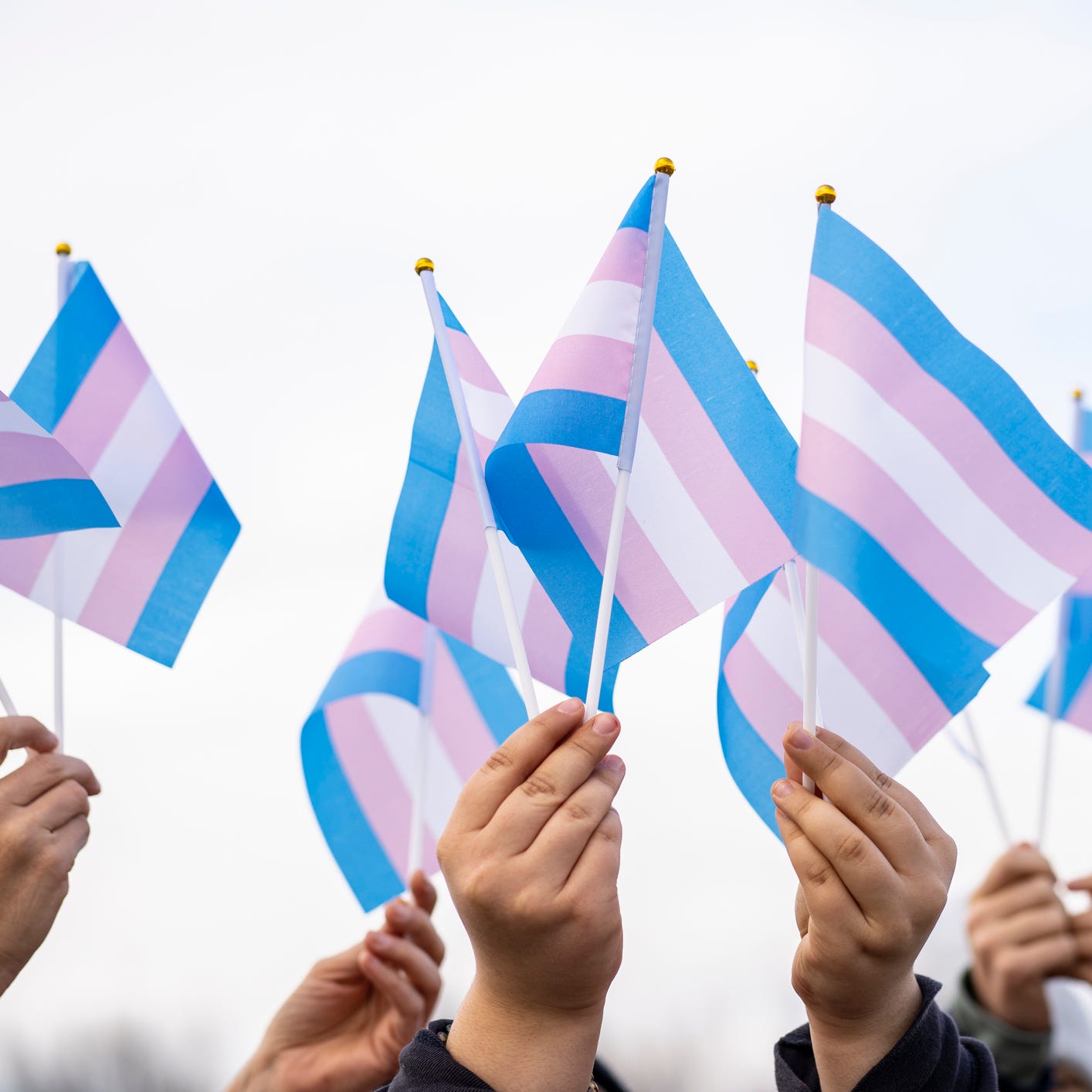 People hold transgender flags during a demonstration.