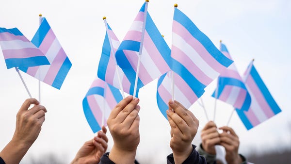 People hold transgender flags during a demonstrati