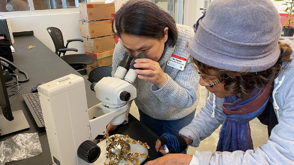 Have gardening issues? OSU grasp gardeners’ free assist line out there