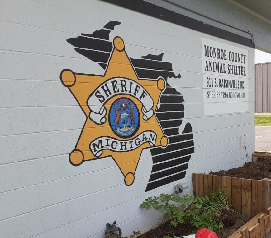 Sheriff's office evaluating animal control after complaints