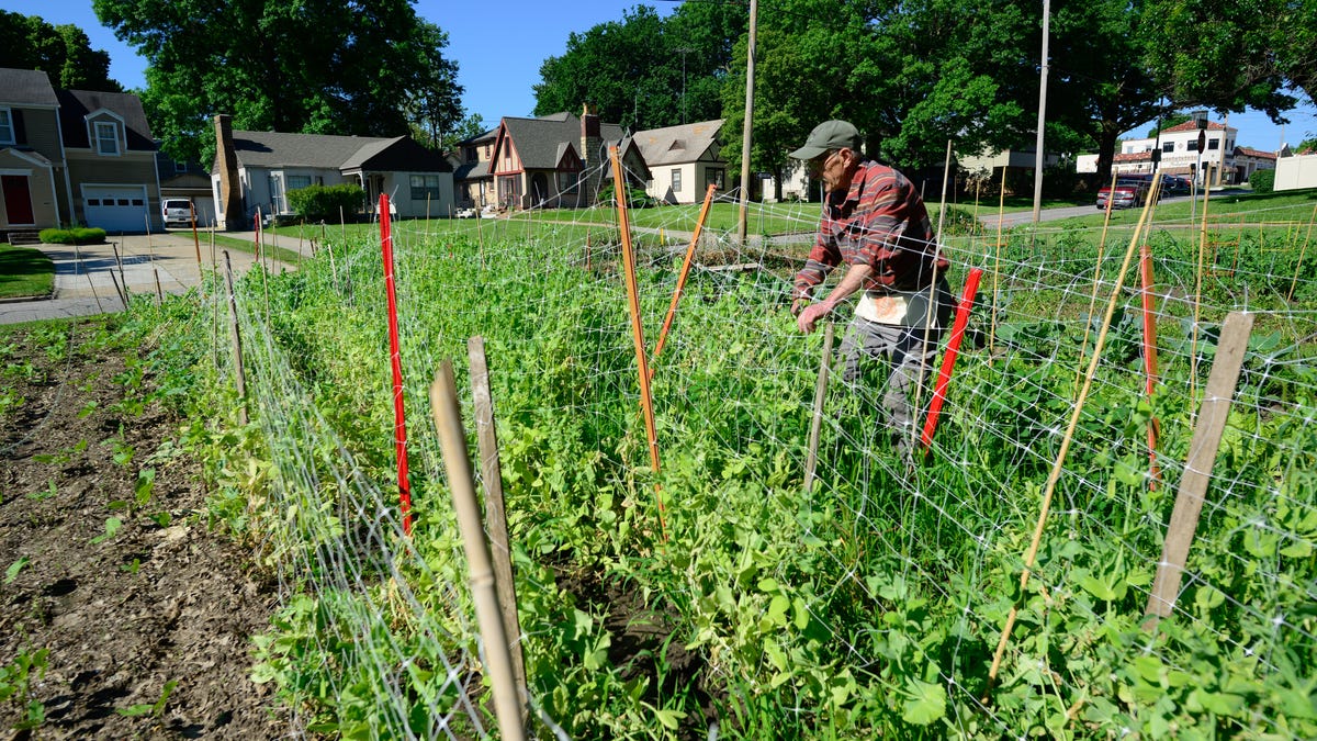 This neighborhood backyard in Topeka promotes city agriculture, gardening