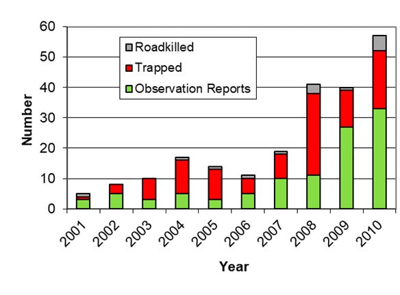 The annual number of river otters identified as being present in Kansas rose from 10 in 2003 to near 60 in 2010, according to figures compiled by determining how many had been trapped, killed by vehicles or observed in the wild.