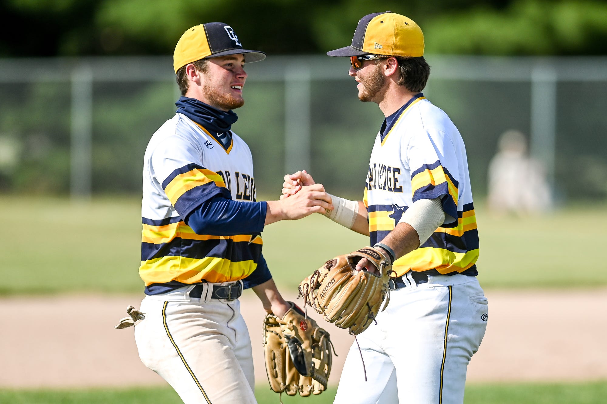 Noah Warren powers Grand Ledge baseball to district title