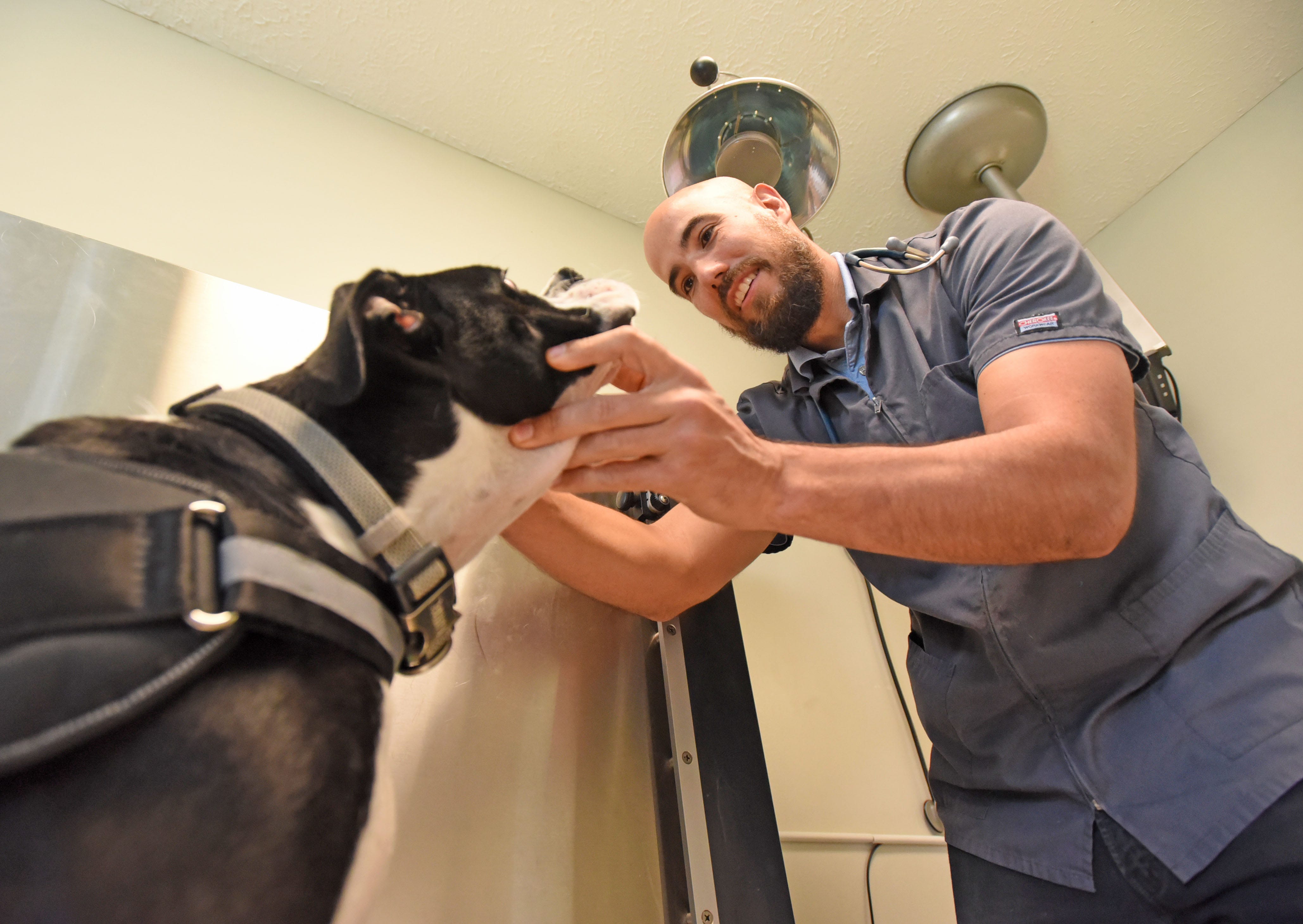 Mansfield veterinary office moving to bigger facility Mansfield veterinary office moving to bigger facility