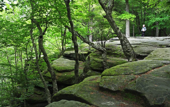 A hiker takes in the view from the Overlook at the Ledges in Cuyahoga Valley National Park on June 9.