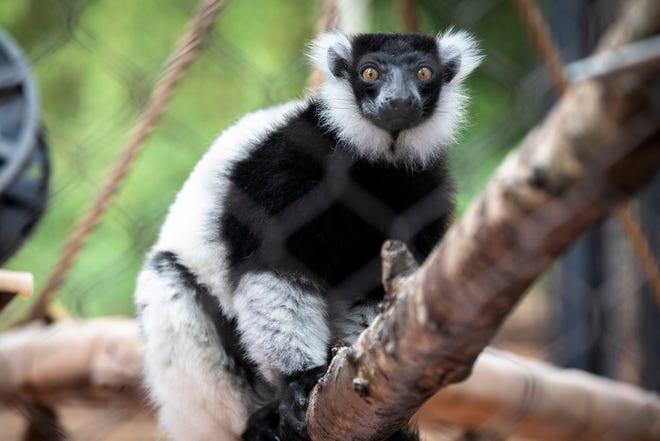 Relatives-pleasant routines to choose gain of in Greenville, Upstate Relatives-pleasant routines to choose gain of in Greenville, Upstate