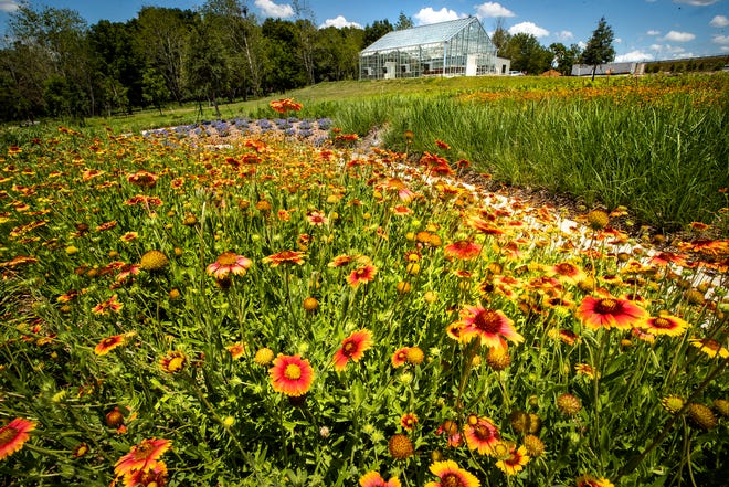 The Harrell Family Botanical Gardens and Greenhouse at Bonnet Springs Park in Lakeland.