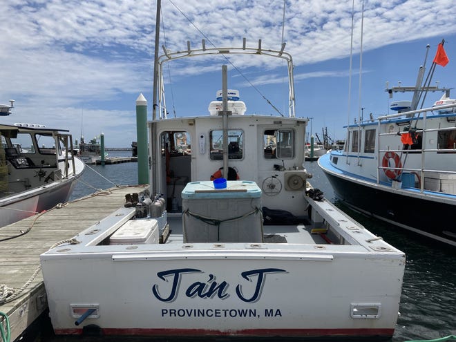 The Provincetown-based vessel commercial lobster diver Michael Packard was working from Friday morning off Herring Cove Beach. While in the mouth of the whale, “I thought to myself, ‘there’s no way I’m getting out of here. I’m done, I’m dead.’ All I could think of was my boys — they’re 12 and 15 years old.”