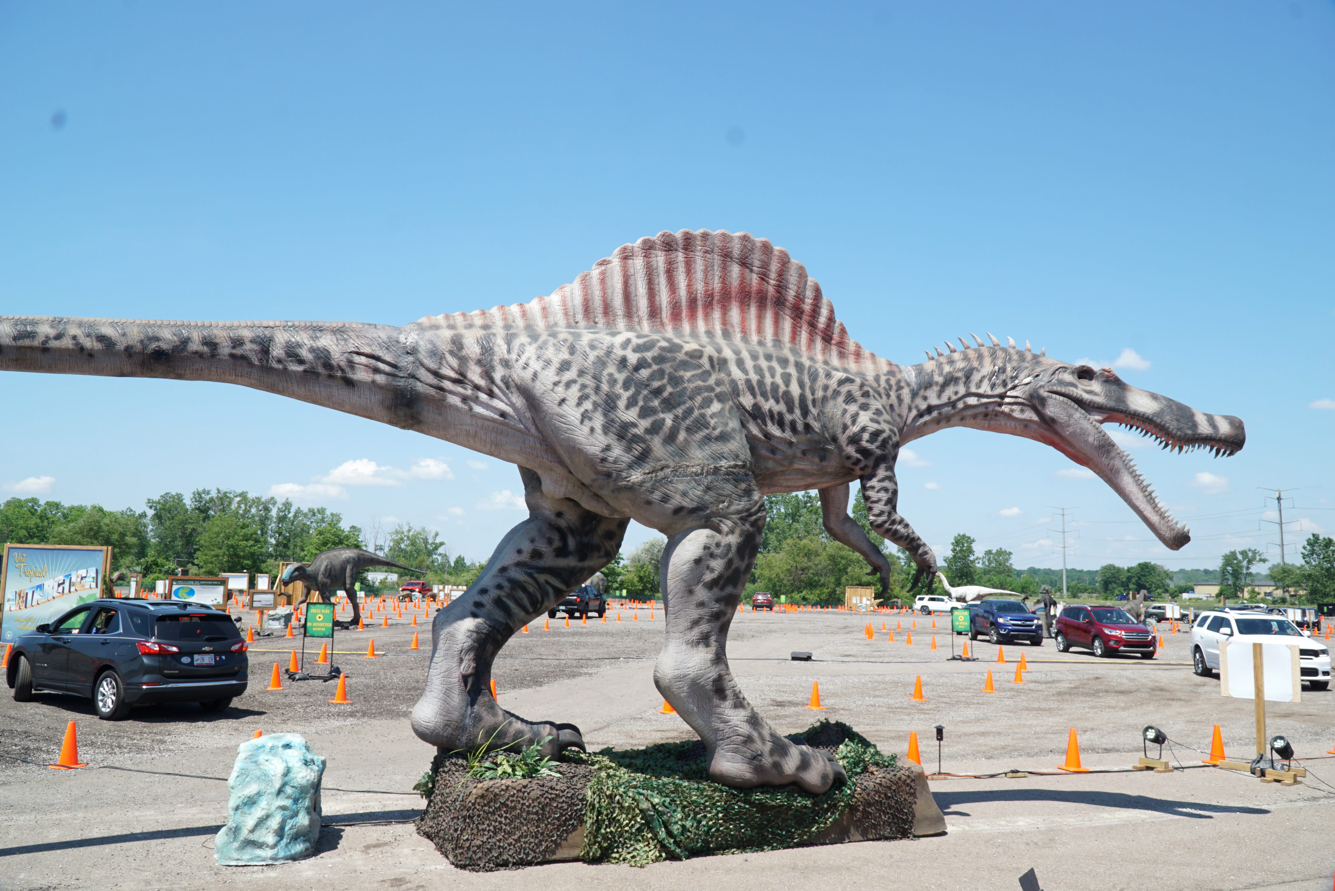 dino safari near me