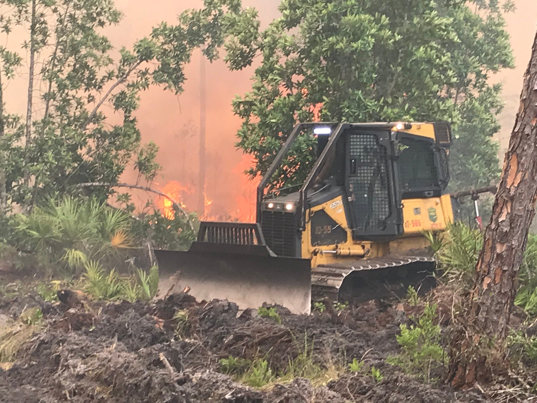 Wildfire Near New Smyrna Beach Grows To 2 0 Acres