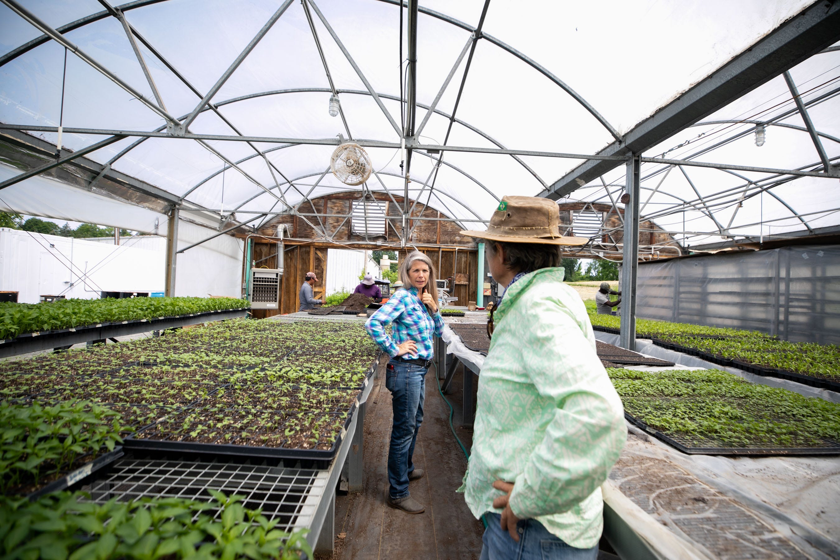 Twin sisters Gail, left, and Amy Hepworth, right, work in the greenhouse together at Hepworth Farms in Milton, NY on  Friday, June 11, 2021.