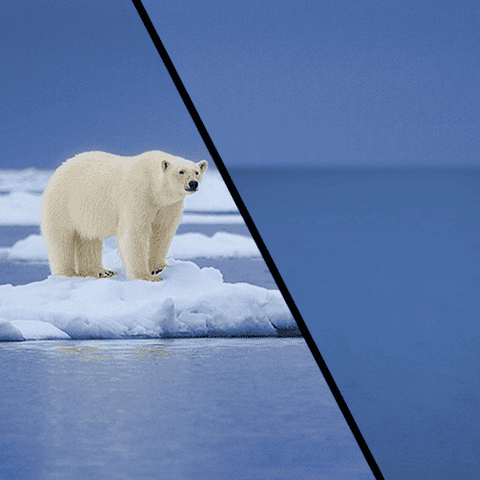 Promo image for melting sea ice