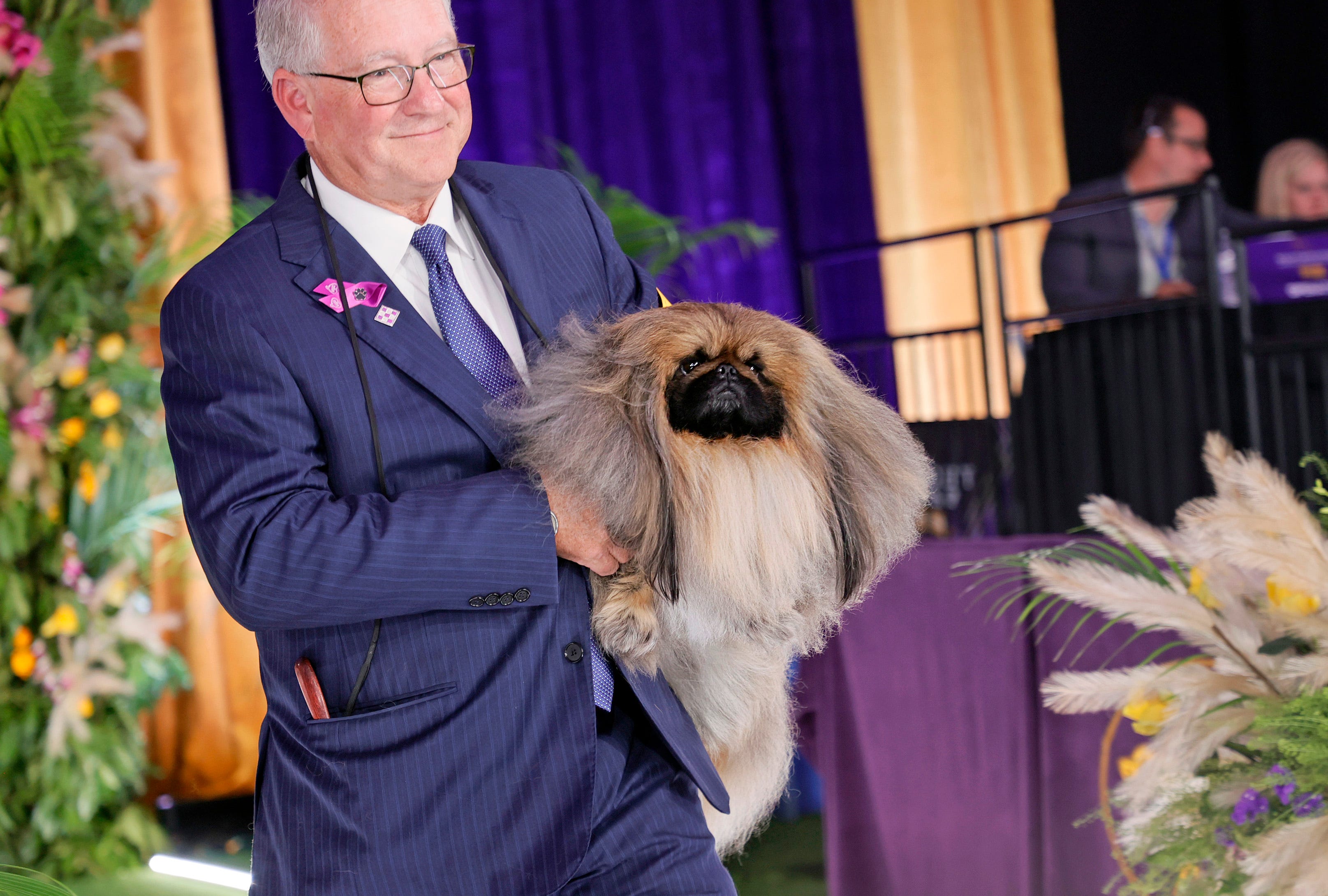 Wasabi the Pekingese wins Best in Show at 145th Westminster Kennel Club 