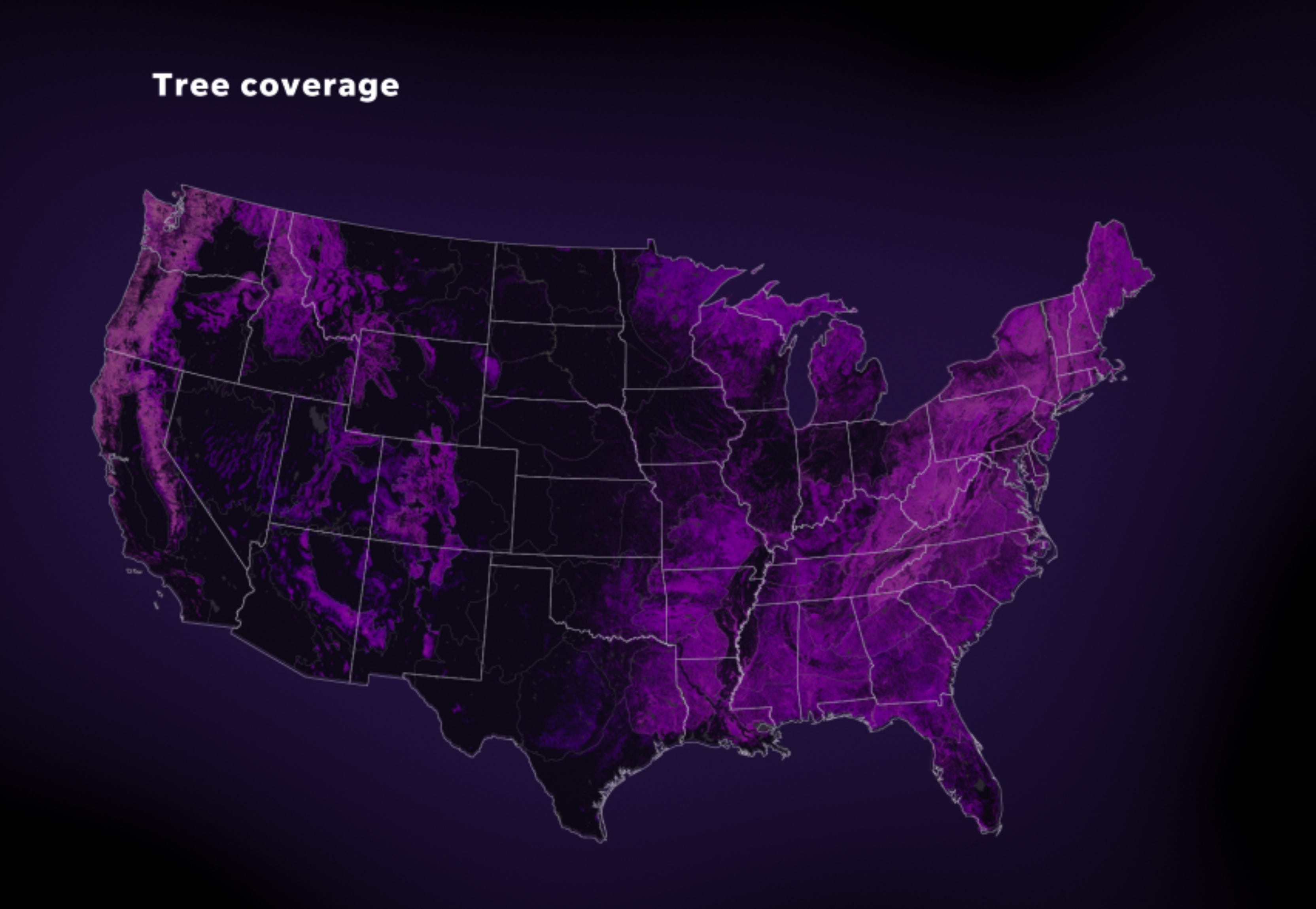 US tree coverage.