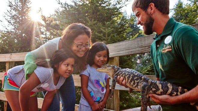 9 summer destinations from San Diego to Orlando 9 summer destinations from San Diego to Orlando