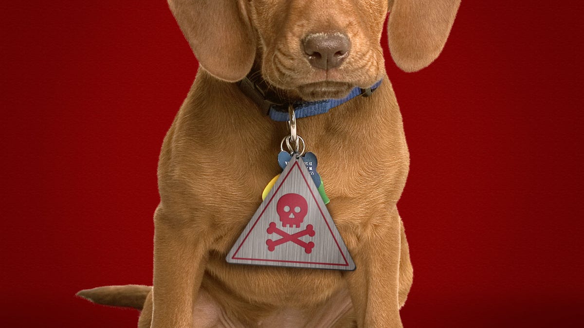 An EPA review of the safety of Seresto pet collars could take years.