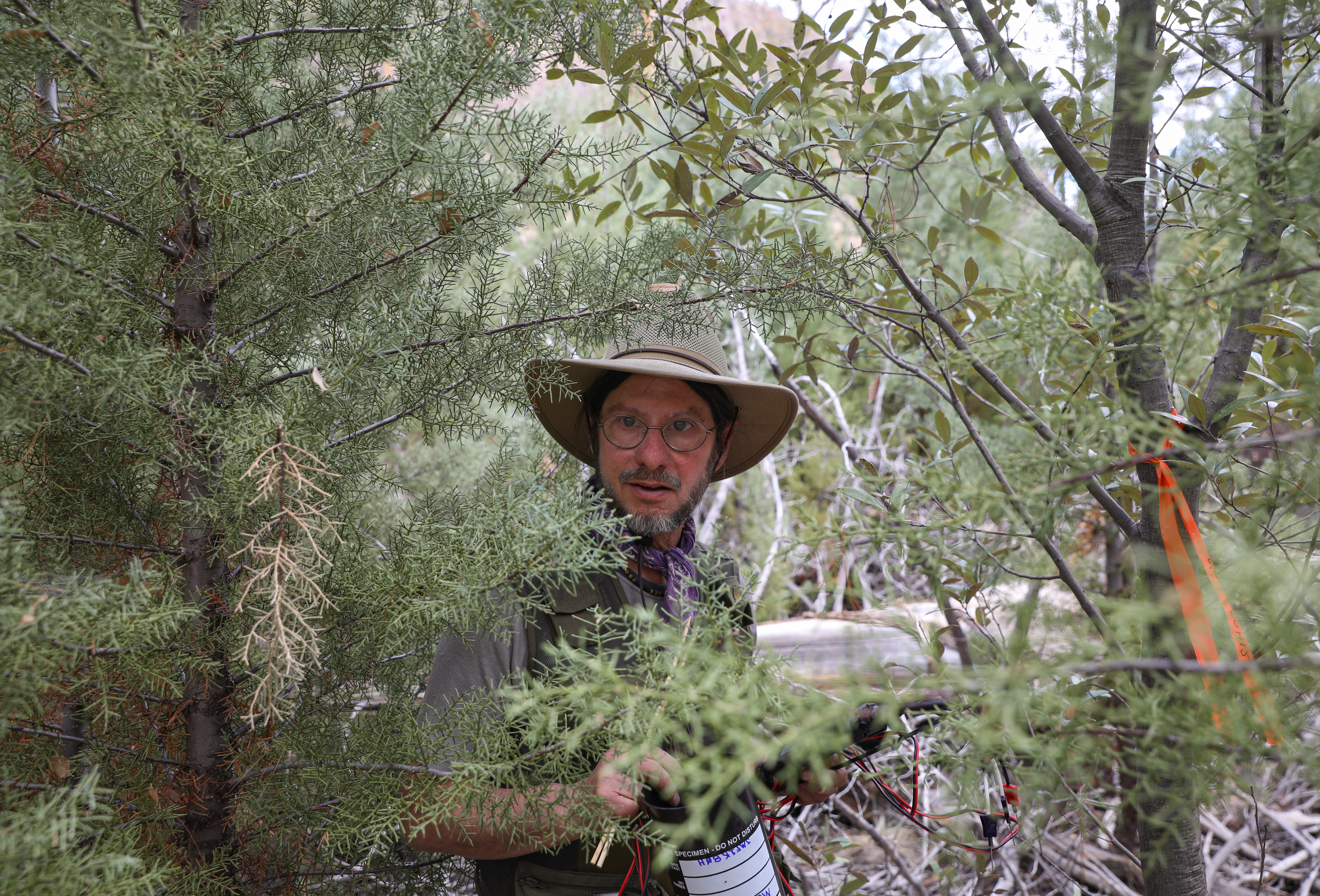 Andrew Barton, a professor of biology at the University of Maine Farmington