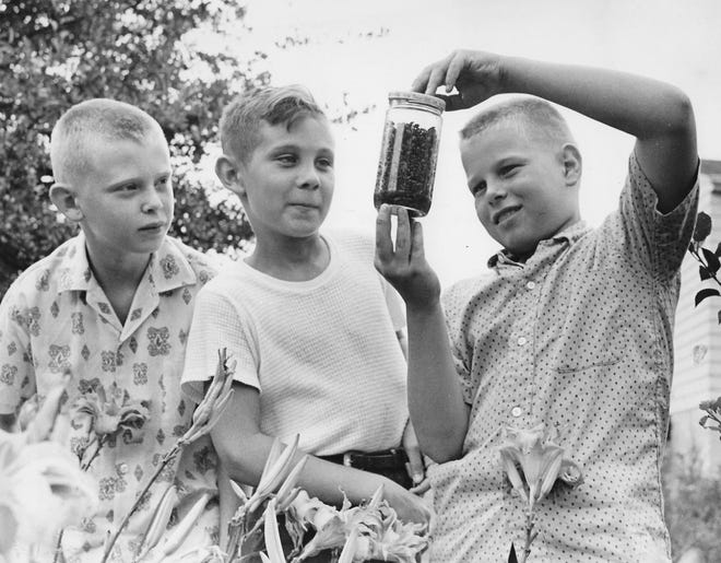 1961年大会で、子供たちが日本のカブトムシと戦って 1961年大会で、子供たちが日本のカブトムシと戦って