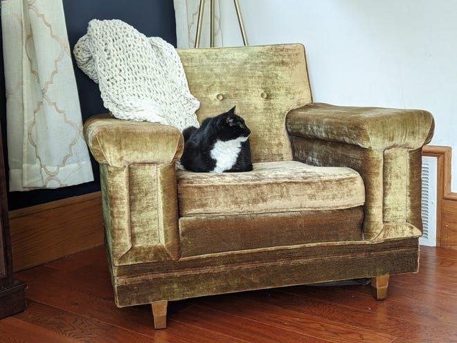 Abbey’s Street: A Household for Patricia Abbey’s Street: A Household for Patricia