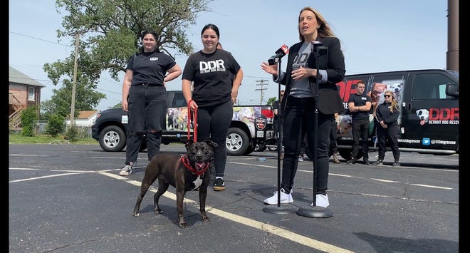 Doggy rescue team calls for improved Detroit shelter for homeless pets