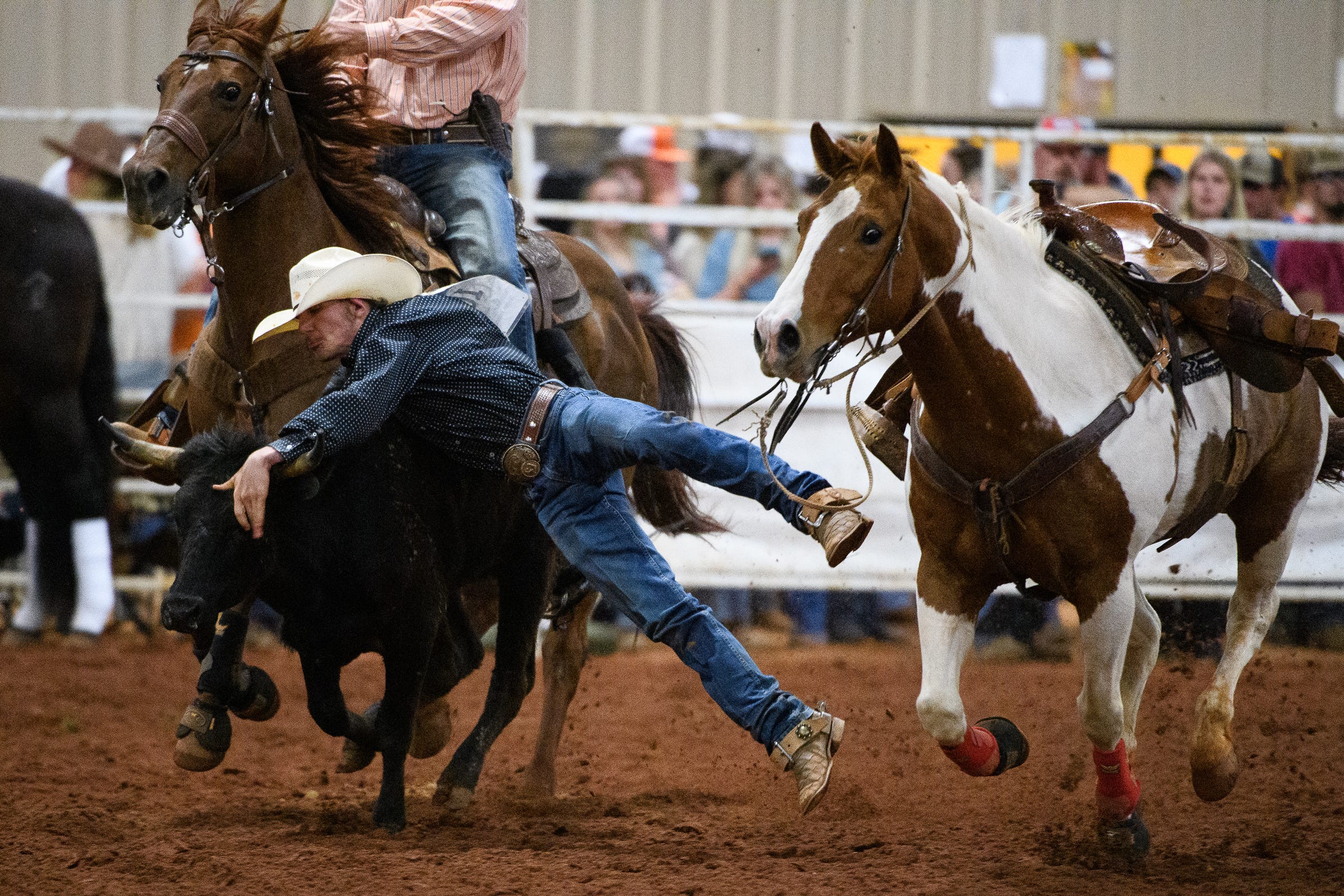 Reign Dobbins competes in the steer wrestling event during a rodeo at the Crescent High School FFA Arena Saturday, May 1, 2021.