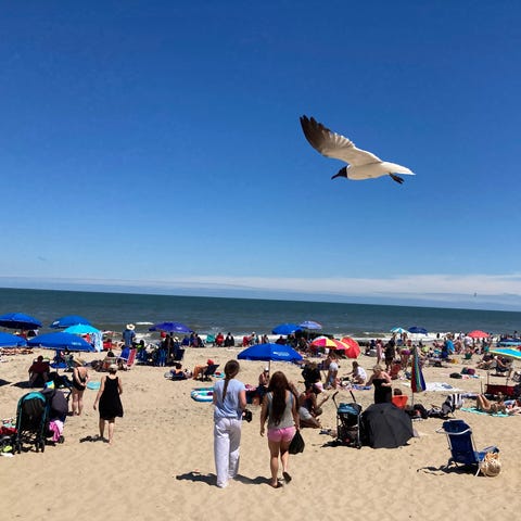 Rehoboth Beach was full of people (and seagulls) o