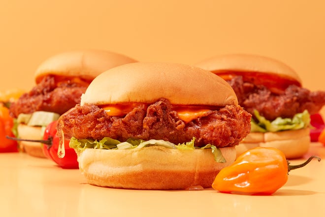 Shake Shack's new Hot Honey Chicken Sandwich, available July 1.
