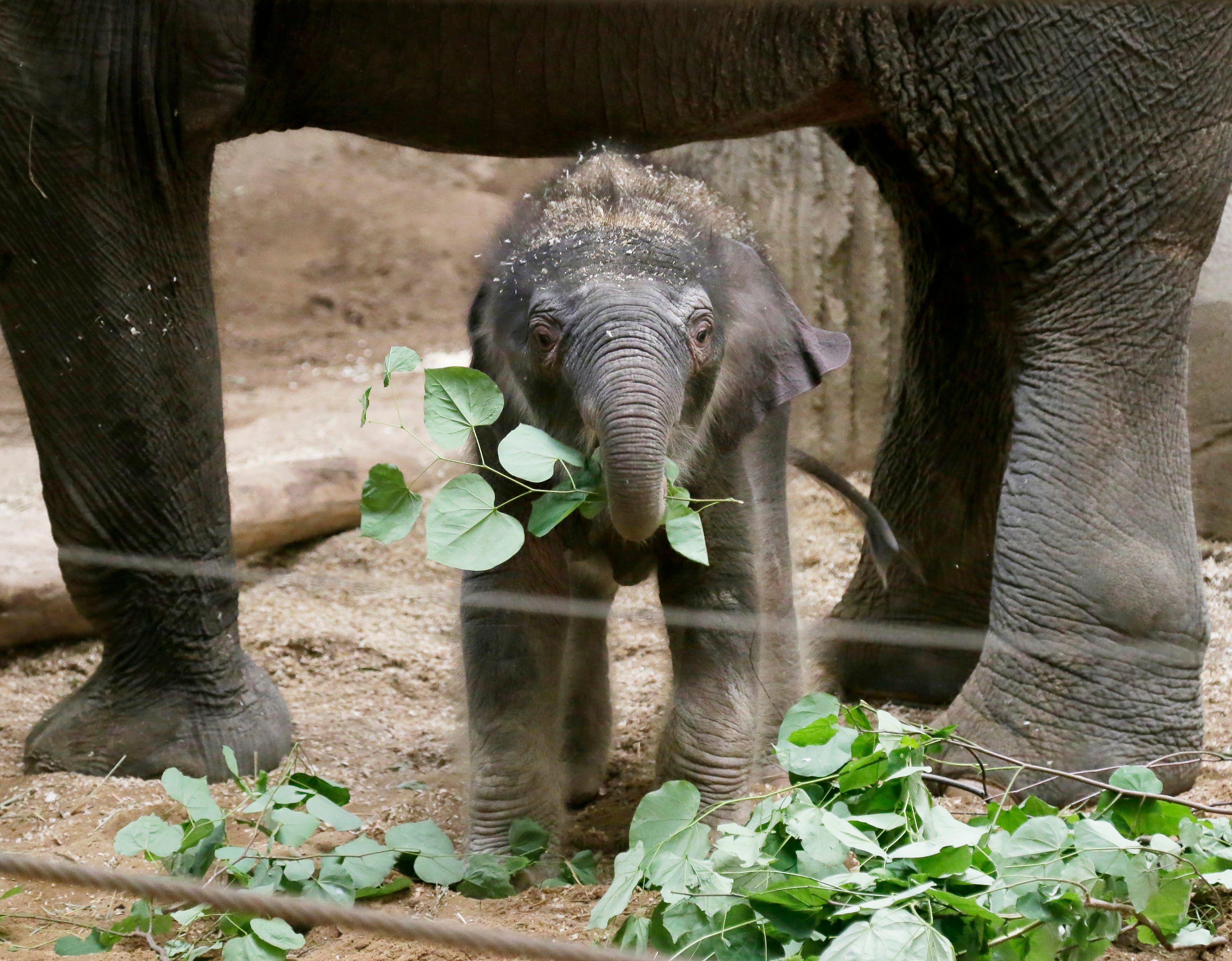 columbus zoo careers