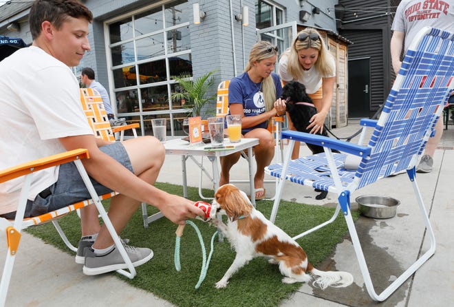 Ethan DeForest, 25, plays with Lily, a 2-year-old Cavalier King Charles spaniel owned by his girlfriend Courtney Spears, 24 (center), of Italian Village. Spears and her roomate Reagan Morman, 24, play with Derek Brady's 14-week-old black miniature goldendoodle, Hazel, on the patio at Seventh Son in Italian Village.