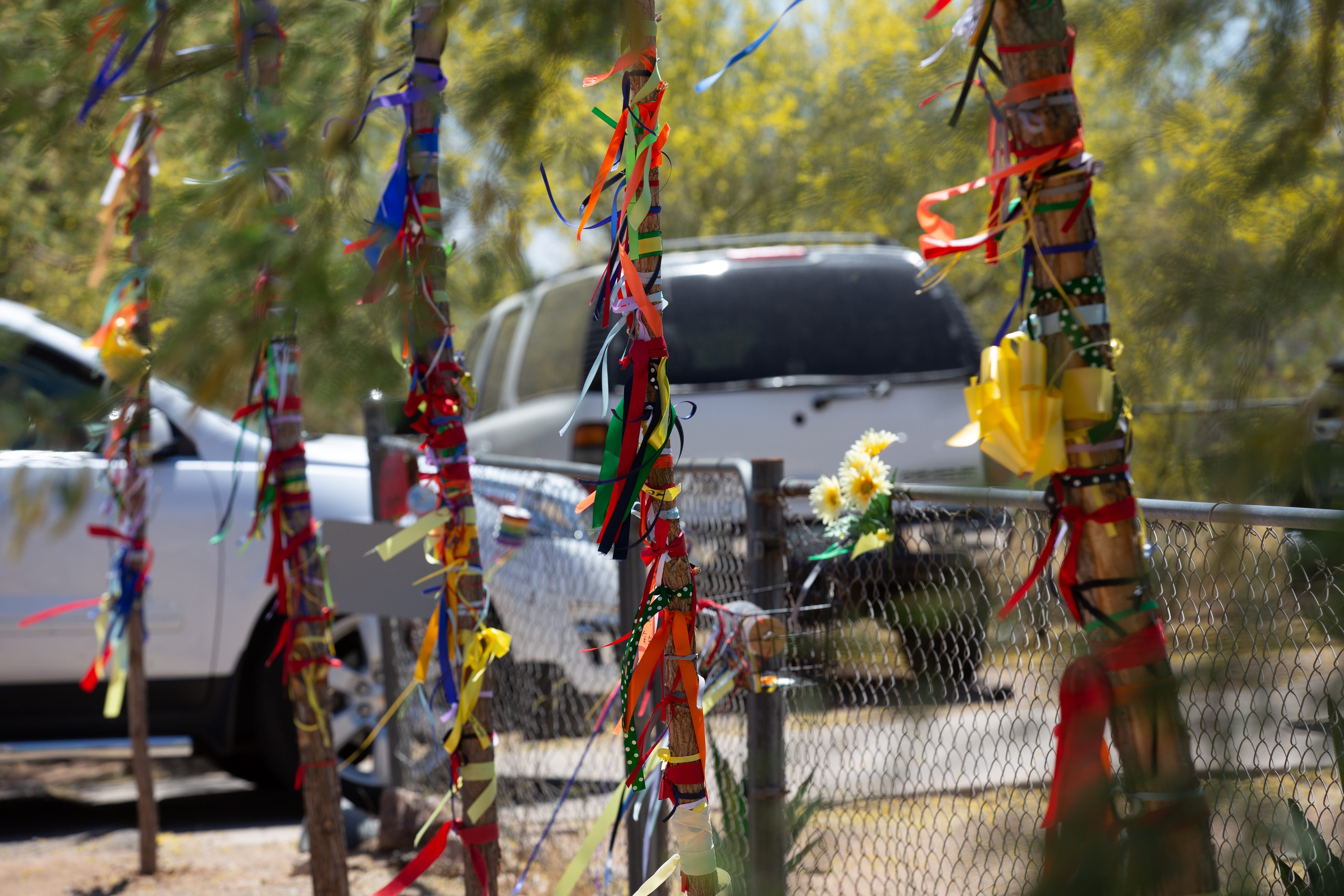 Ribboned willow staffs line the fence of the Manuels' front yard on the Salt River Pima-Maricopa Indian Community. Each ribbon on the staffs was tied by someone in his honor.