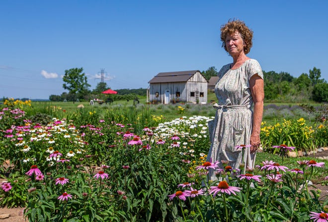 Owner Kathy Fogle stands among the u-pick flowers at Rows and Rows Lavender Farm in North Liberty. Fogle and her husband opened the u-pick flower farm for its first full season this summer.