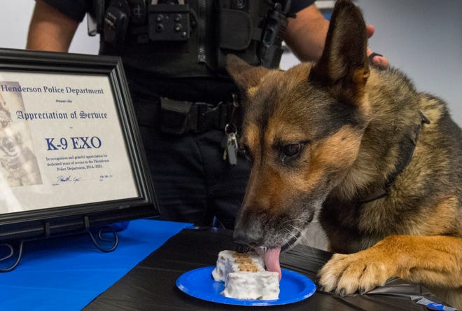 Henderson Police Department’s K-9 Exo licks his cake during a retirement celebration Wednesday afternoon, June 30, 2021.