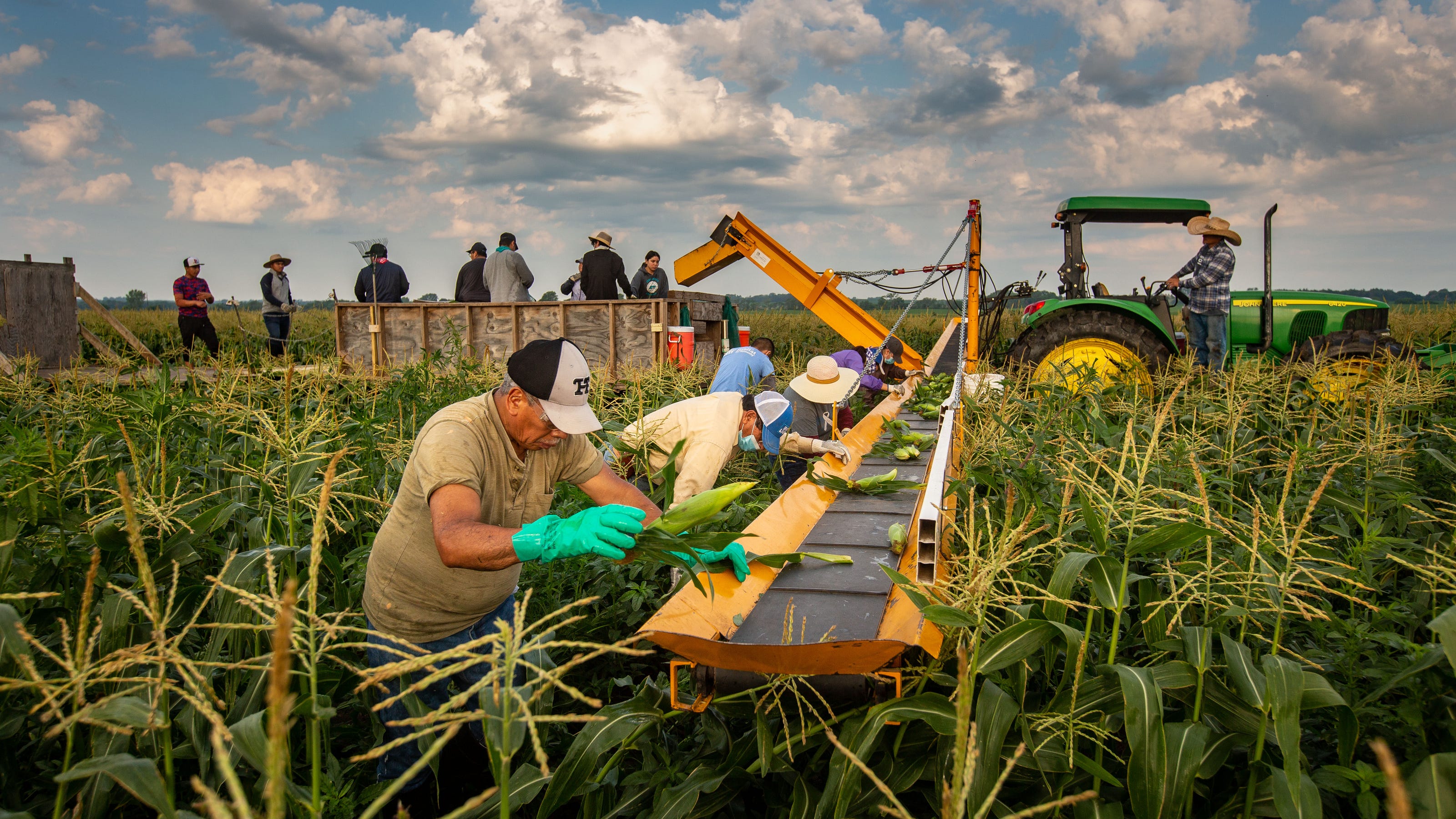Where to buy Iowa sweet corn in Des Moines metro for summer 2021